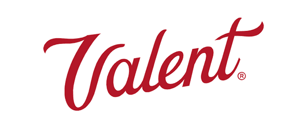 PRODUCTOS VALENT